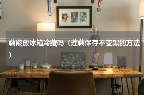 藕能放冰箱冷藏吗（莲藕保存不变黑的方法）
