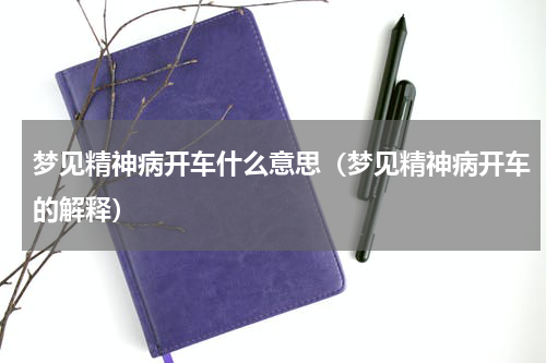 梦见精神病开车什么意思（梦见精神病开车的解释）