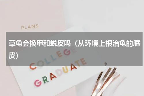 草龟会换甲和蜕皮吗（从环境上根治龟的腐皮）