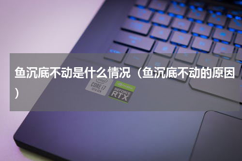 鱼沉底不动是什么情况（鱼沉底不动的原因）