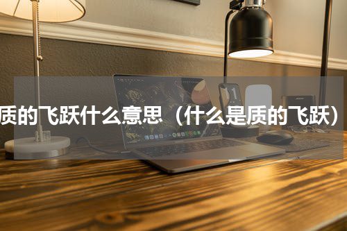 质的飞跃什么意思（什么是质的飞跃）