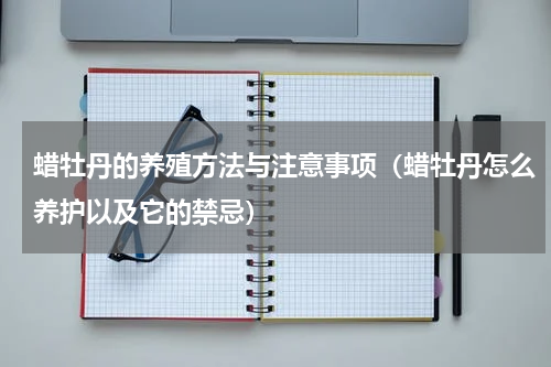 蜡牡丹的养殖方法与注意事项（蜡牡丹怎么养护以及它的禁忌）