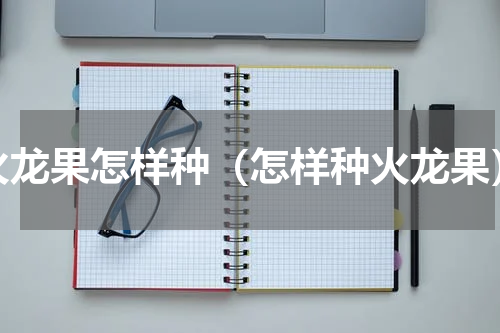火龙果怎样种（怎样种火龙果）