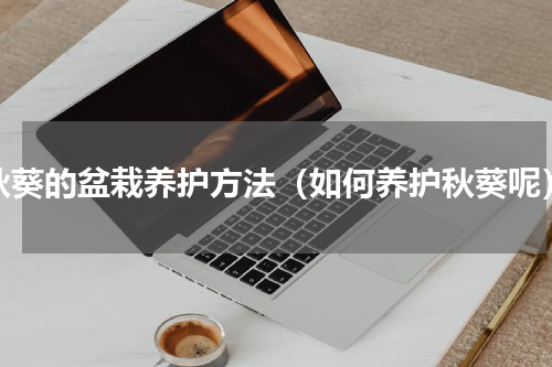秋葵的盆栽养护方法（如何养护秋葵呢）