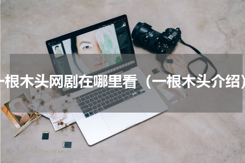 一根木头网剧在哪里看（一根木头介绍）