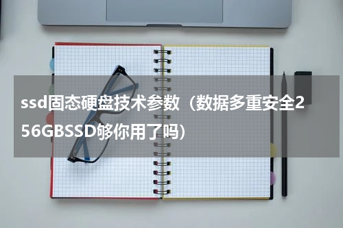 ssd固态硬盘技术参数（数据多重安全256GBSSD够你用了吗）