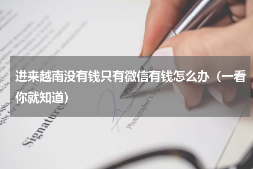 进来越南没有钱只有微信有钱怎么办（一看你就知道）