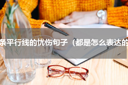 两条平行线的忧伤句子（都是怎么表达的）