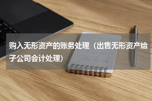 购入无形资产的账务处理（出售无形资产给子公司会计处理）