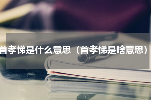 首孝悌是什么意思（首孝悌是啥意思）