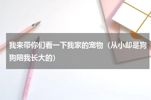 我来带你们看一下我家的宠物（从小却是狗狗陪我长大的）