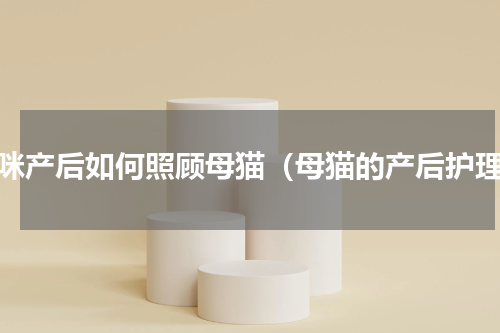 猫咪产后如何照顾母猫（母猫的产后护理）