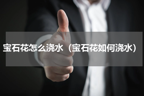 宝石花怎么浇水（宝石花如何浇水）