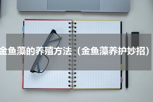 金鱼藻的养殖方法（金鱼藻养护妙招）