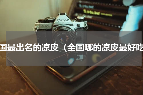 全国最出名的凉皮（全国哪的凉皮最好吃）