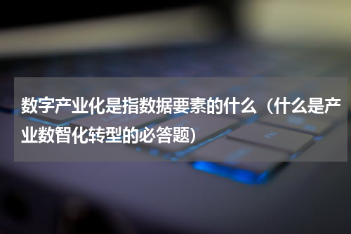 数字产业化是指数据要素的什么（什么是产业数智化转型的必答题）