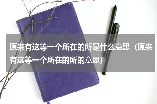 原来有这等一个所在的所是什么意思（原来有这等一个所在的所的意思）