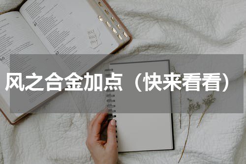 风之合金加点（快来看看）