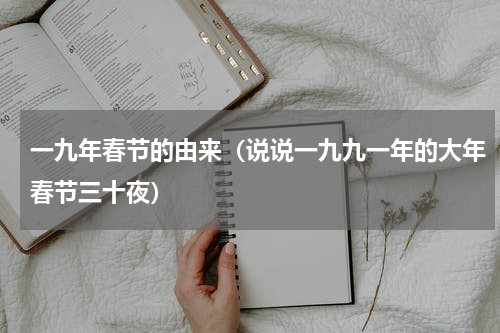 一九年春节的由来（说说一九九一年的大年春节三十夜）