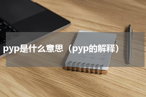 pyp是什么意思（pyp的解释）