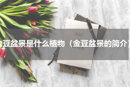 金豆盆景是什么植物（金豆盆景的简介）