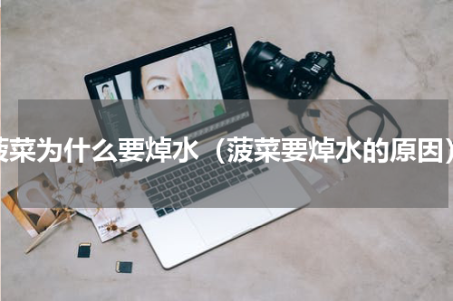 菠菜为什么要焯水（菠菜要焯水的原因）