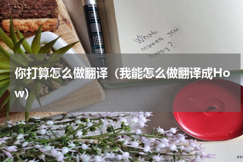 你打算怎么做翻译（我能怎么做翻译成How）