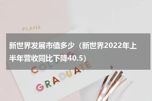 新世界发展市值多少（新世界2022年上半年营收同比下降40.5）
