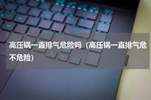 高压锅一直排气危险吗（高压锅一直排气危不危险）