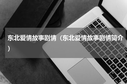 东北爱情故事剧情（东北爱情故事剧情简介）