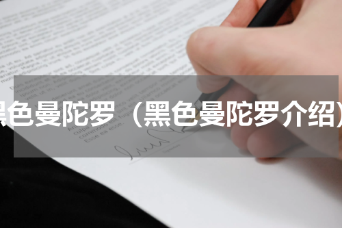 黑色曼陀罗（黑色曼陀罗介绍）