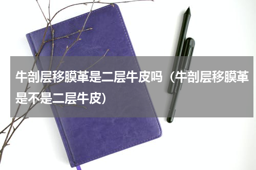 牛剖层移膜革是二层牛皮吗（牛剖层移膜革是不是二层牛皮）