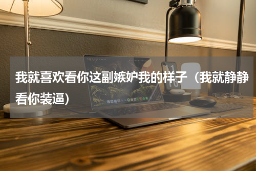 我就喜欢看你这副嫉妒我的样子（我就静静看你装逼）