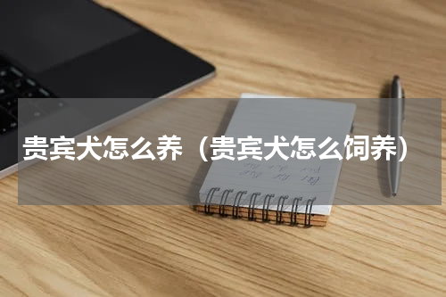 贵宾犬怎么养（贵宾犬怎么饲养）