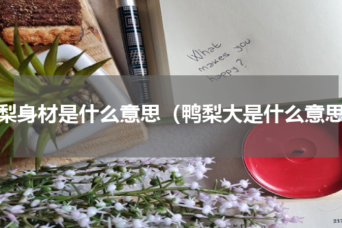 鸭梨身材是什么意思（鸭梨大是什么意思）