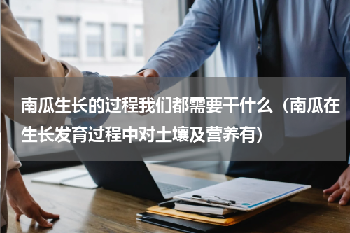 南瓜生长的过程我们都需要干什么（南瓜在生长发育过程中对土壤及营养有）