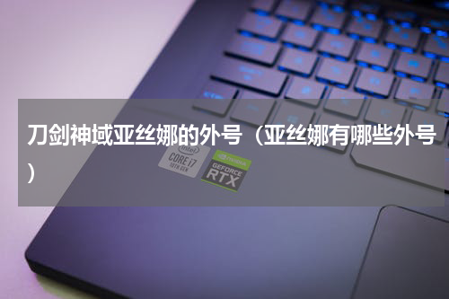 刀剑神域亚丝娜的外号（亚丝娜有哪些外号）