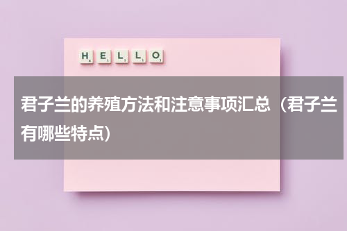 君子兰的养殖方法和注意事项汇总（君子兰有哪些特点）
