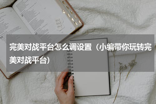 完美对战平台怎么调设置（小编带你玩转完美对战平台）
