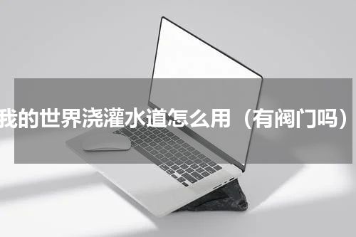 我的世界浇灌水道怎么用（有阀门吗）