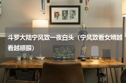 斗罗大陆宁风致一夜白头（宁风致看女婿越看越顺眼）