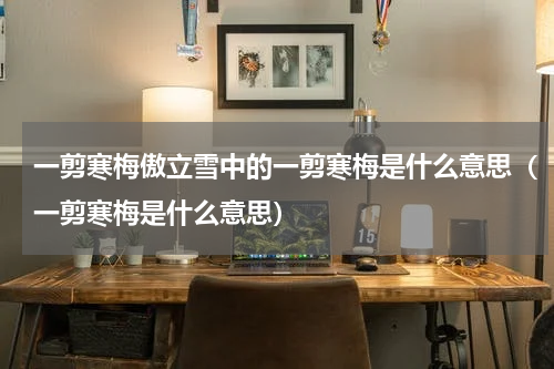 一剪寒梅傲立雪中的一剪寒梅是什么意思（一剪寒梅是什么意思）