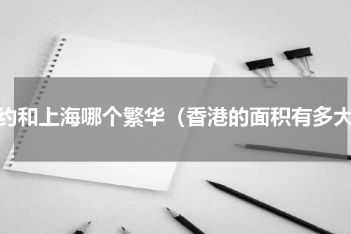 纽约和上海哪个繁华（香港的面积有多大）