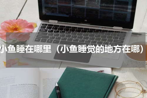 小鱼睡在哪里（小鱼睡觉的地方在哪）
