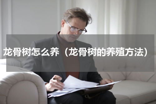 龙骨树怎么养（龙骨树的养殖方法）