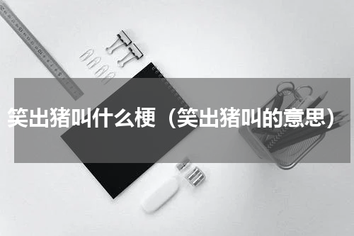 笑出猪叫什么梗（笑出猪叫的意思）