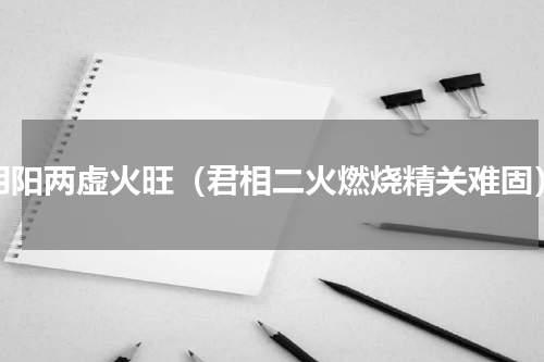 阴阳两虚火旺（君相二火燃烧精关难固）