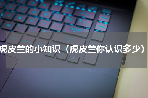 虎皮兰的小知识（虎皮兰你认识多少）
