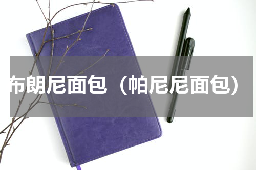 布朗尼面包（帕尼尼面包）