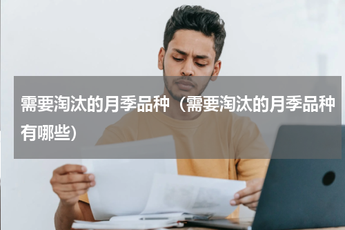 需要淘汰的月季品种（需要淘汰的月季品种有哪些）